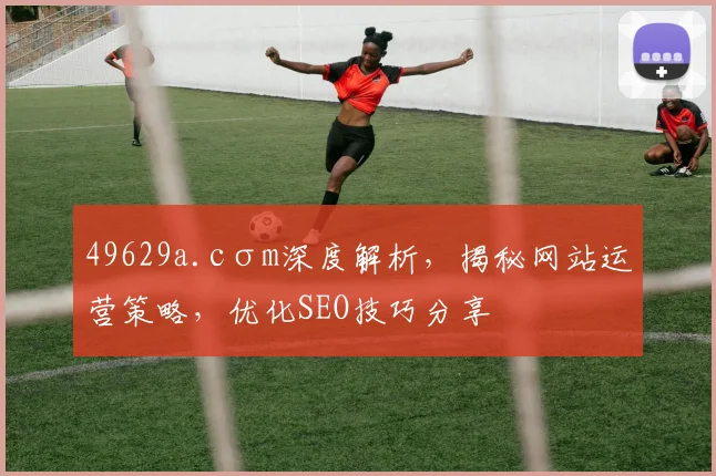 49629a.cσm深度解析，揭秘网站运营策略，优化SEO技巧分享