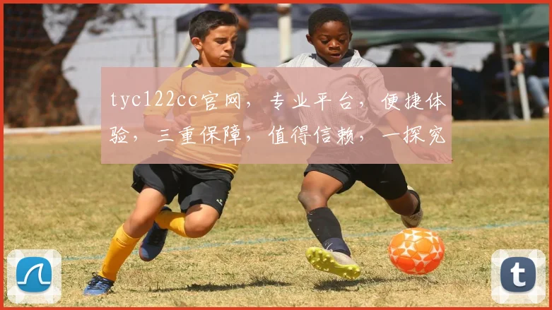 tyc122cc官网，专业平台，便捷体验，三重保障，值得信赖，一探究竟